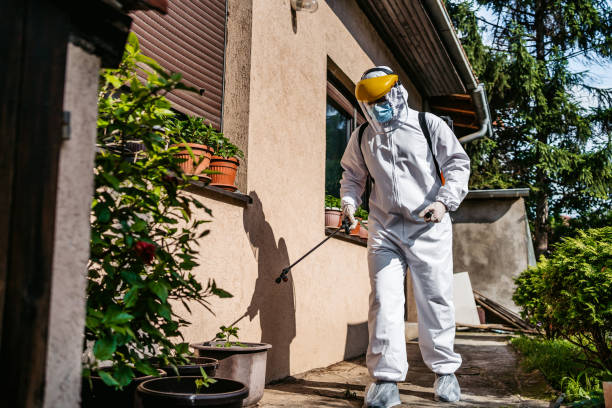 Best Pest Control Near Me  in Fairhope, PA