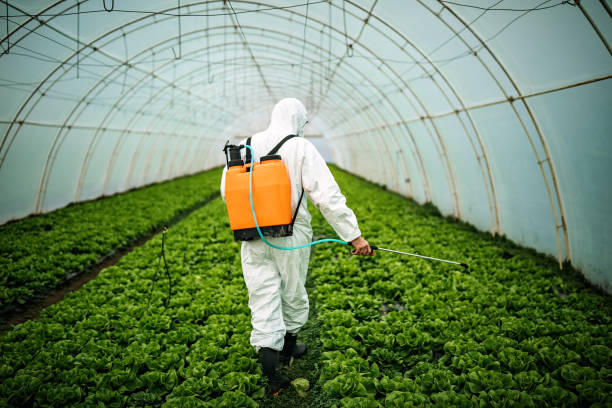 Best Pest Control Near Me in Fairhope, PA