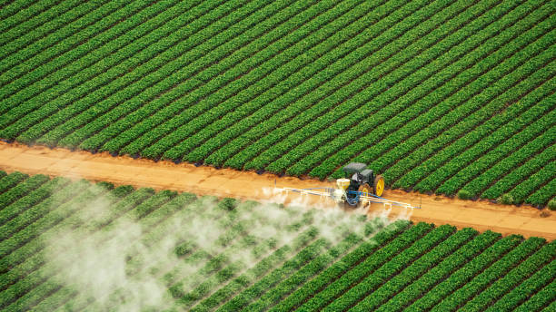 Best Mosquito Control Services  in Fairhope, PA