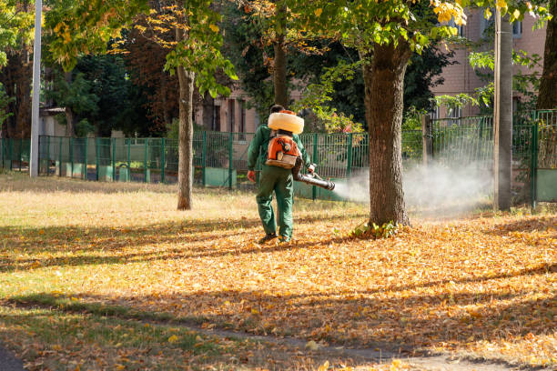 Best Flea Control Services  in Fairhope, PA