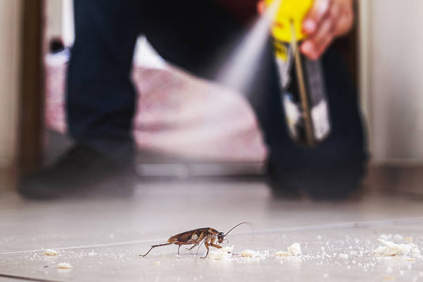 Best Pest Removal Services  in Fairhope, PA