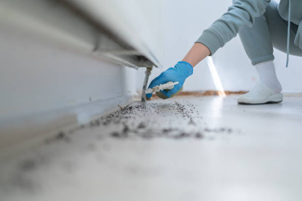 Wildlife Control Services in Fairhope, PA