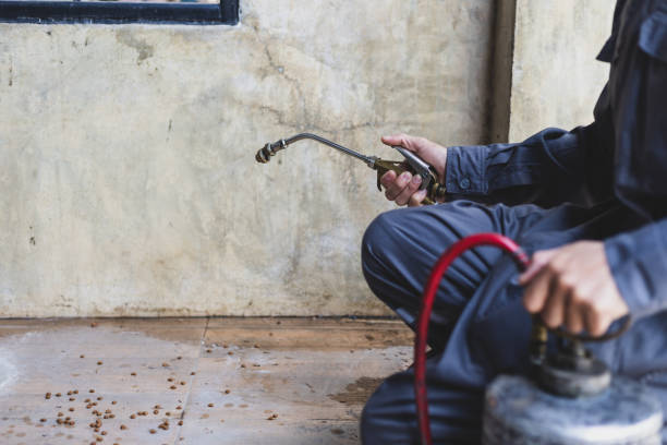 Best Best Pest Control Companies  in Fairhope, PA