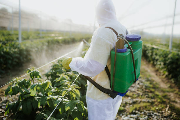 Best Insect Control  in Fairhope, PA